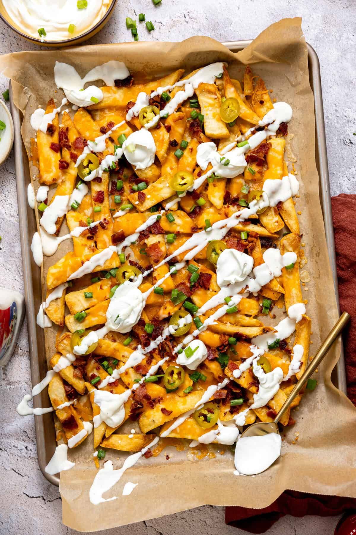 Texas Cheese Fries