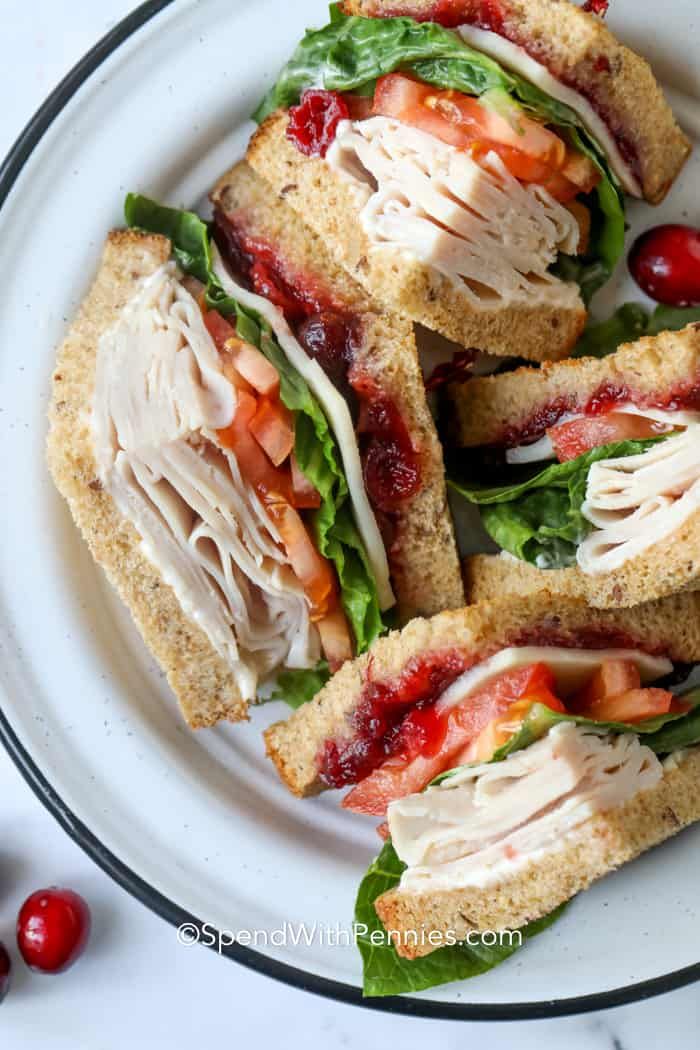 Turkey and Provolone (Regular)